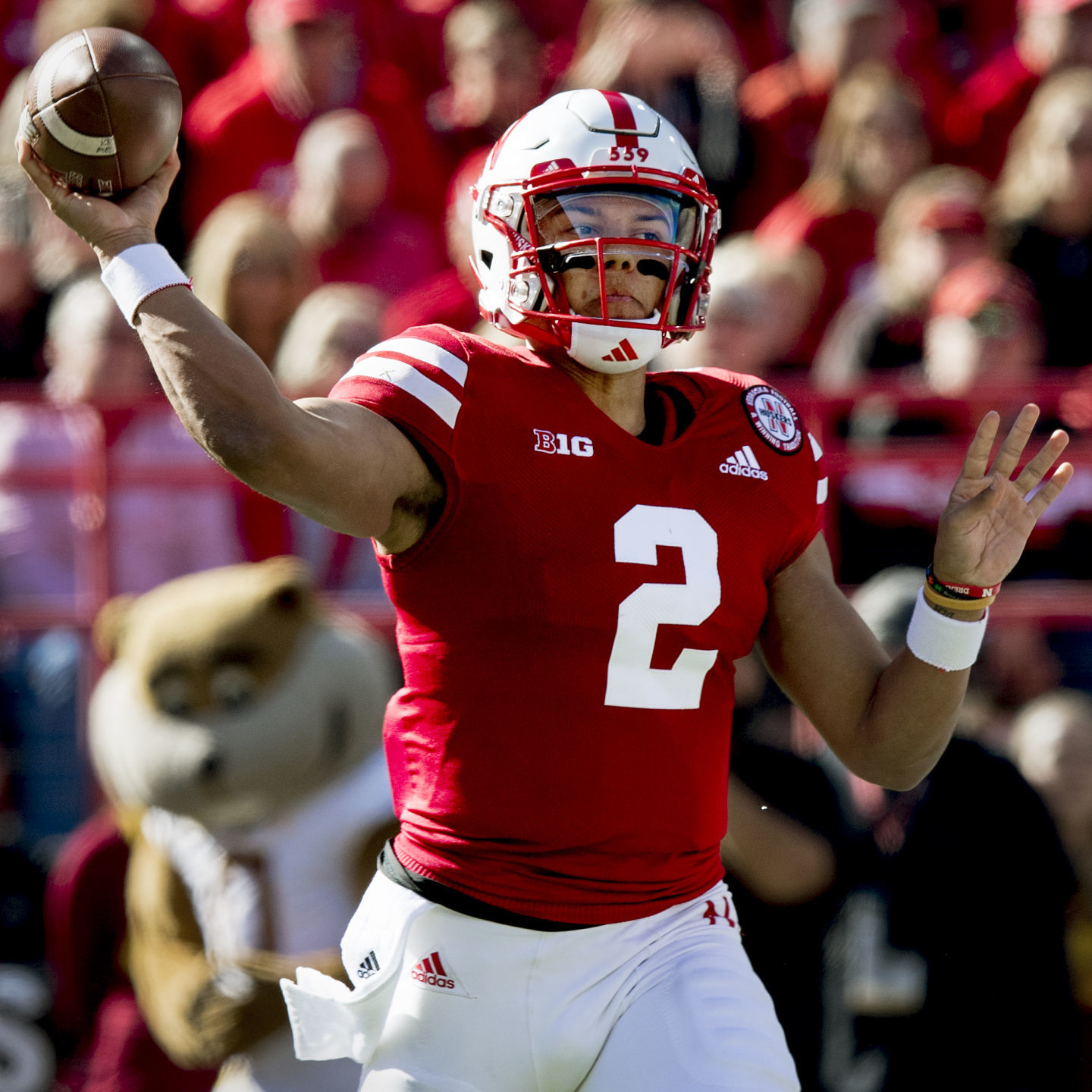 NU football vs. Minnesota, 10/20/18